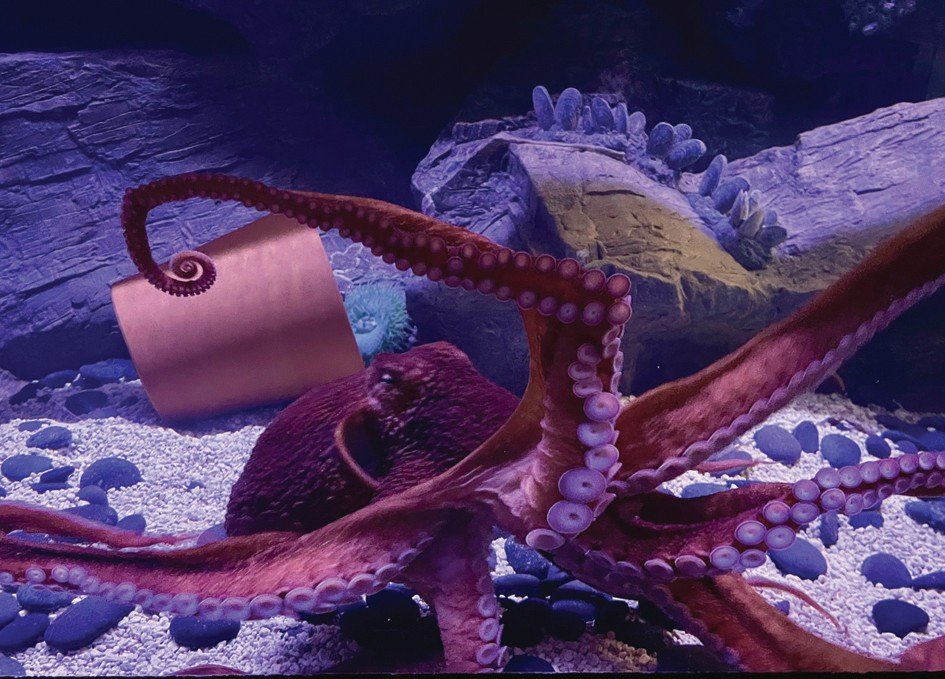 🐠 나폴리 수족관(아쿠아리오 디 나폴리)